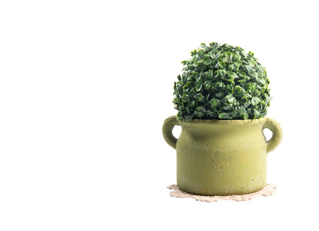 plastic bush tree , isolated over white with clipping pathの写真素材