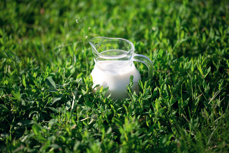 Glass jug of fresh healthy cows milk stands on the green grass in summerの写真素材