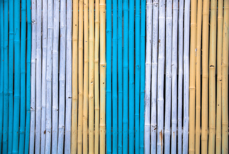 Colorful of bamboo wall for backgroundの写真素材
