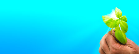 Human hand holding a green sprout on a blue background. Ecology conceptの写真素材