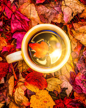 Cup of hot coffee or tea on autumn leaves background. Top view.の写真素材