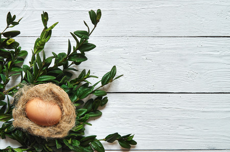 Nest with eggs on white wooden planks background.