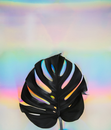 Black monstera leaf against iridescent holographic paper background. Nineties party concept. Disco rainbow colors poster mockup. Room for text, copy space.の写真素材