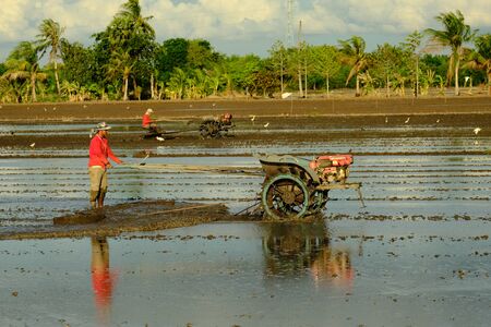 Thai farmer using walking tractor to cultivate soil for rice field preparationの写真素材
