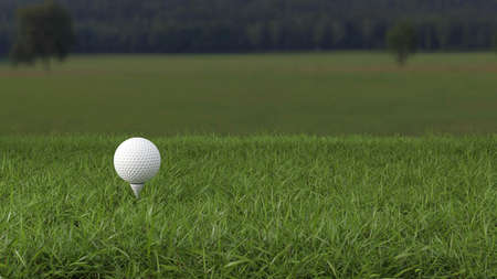 White golf ball and tee pin on green grass field selective focus as new beginning 3D rendering illustrationの写真素材