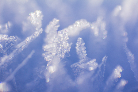 Macro snowflakeの写真素材