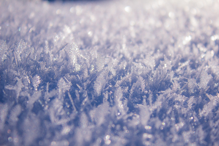Macro snowflakeの写真素材