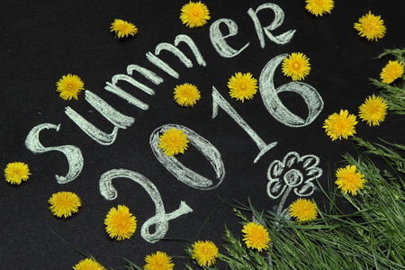 summer 2016 in the yellow dandelions on the Board