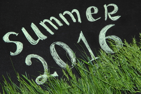 summer 2016 in the green grass on the Boardの写真素材