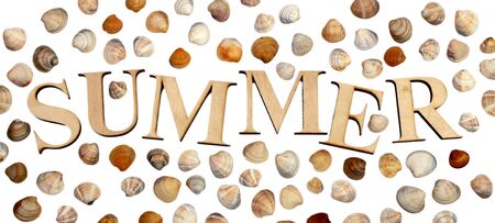 sea shells on a white background. word from wooden letters summer.の写真素材