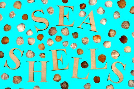 sea shells on a blue background. word from wooden letters sea shells.の写真素材
