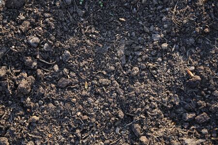 Textured fertile soil as backgroundの写真素材