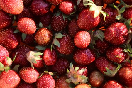 background of beautiful juicy delicious strawberriesの写真素材