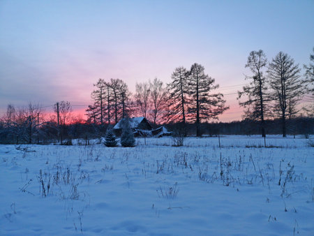 winter evening in the Russian village snow sunset pine trees natureの写真素材