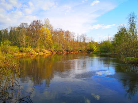 river in late autumn yellow and red leaves on the treesの写真素材