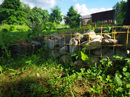 stone overgrown with moss in a clearing summer dayの写真素材