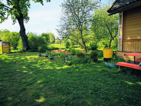 flowers in the garden against the blue sky and green fields