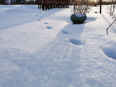 snow crystals ice white frost winter coldの写真素材