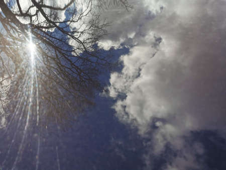 reflection of the blue sky clouds and trees on the bonnet of the machineの写真素材