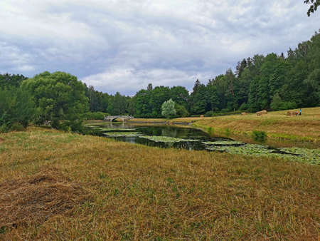 stone bridge over the pond Pavlovsk park summer dayの写真素材