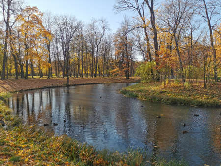 Alexander Park in Pushkin golden autumn yellow leaves blue skyの写真素材