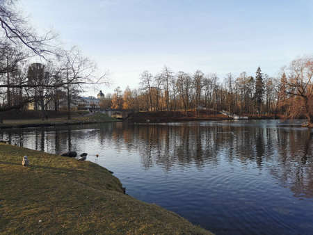 late autumn in Gatchina Park fallen leaves cold water