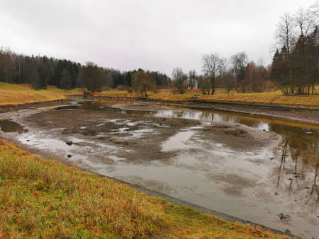 late autumn in Pavlovsky Park fallen foliation and cold wind