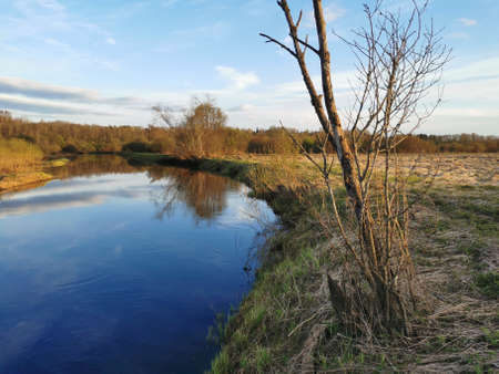 spring road through the field to the river. high quality photo