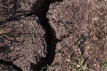 Dry, lifeless gray brown ground cracked due to lack of moisture. Outdoors, copy space.