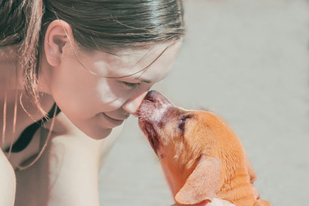 Young attractive caucasian woman leans down towards cute red puppy, puppy leaks her in nose....