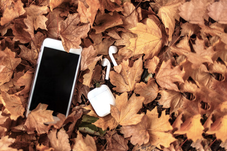 White mobile phone with earphones/headphones on a background of yellow leaves. Autumn/fall mood. Autumn music, audio, reading. Above view. Copy space, close up.の写真素材