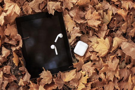 White earphones/headphones and black tablet (pad) on a background of yellow leaves. Autumn/fall mood. Autumn music, audio, reading. Above view. Copy space, close up.の写真素材