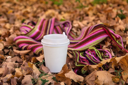 Hot drink in paper cup with bright color scarf on fallen golden leaves background. Autumn / fall theme and mood. Outdoors, close up, copy space.の写真素材
