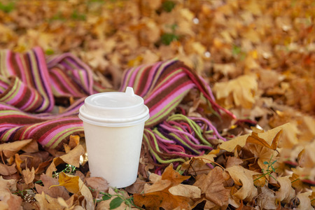 Hot drink in paper cup with bright color scarf on fallen golden leaves background. Autumn / fall theme and mood. Outdoors, close up, copy space.の写真素材