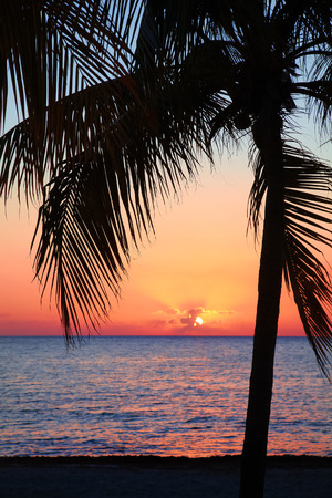 Beautiful sunset on the beach, sun goes down to the sea. Palm on the bayshore. Calm ambient, rest and relaxation concept. Stunning view to the horizon. Outdoors, copy space.の写真素材