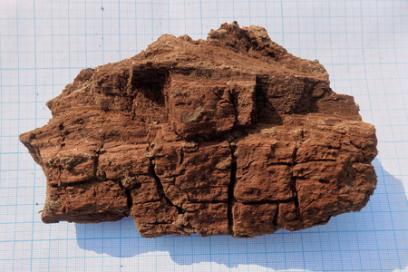 Find of archaeological excavations settled on the sheet of paper. Wooden artefact, remains (part of...