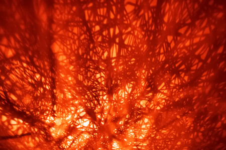 Light and dark shadows of bright abstract background (red, orange and yellow), dinamic fire...
