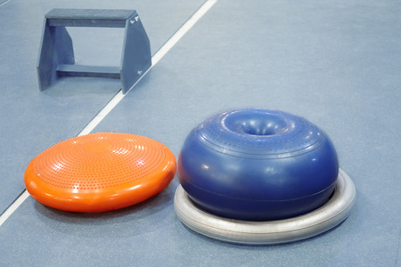Rubber sport equipment (fitballs and wooden stand) in empty fitness room), different kinds of appliances for fitness. Healthy lifestyle concept. Dog fitness. Copy space.の写真素材