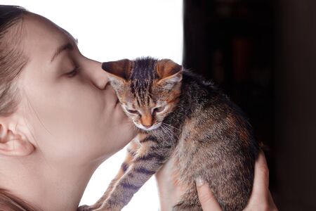 Young attractive caucasian woman kisses little cat of tabby color. Cute kitten as a family member.  Indoors, close up portrait, copy space.の写真素材