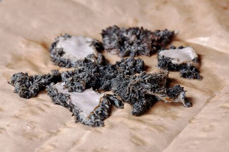 Beef tripe, for dogs on raw diet, on craft paper background. Natural useful food for pets. Close up,...
