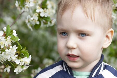 Close-up portrait of cute blond baby boy smiling in the middle of cherry blossom garden. Emotion of happiness, fun, joy. Outdoors, copy space, green and white spring flowers background.の写真素材