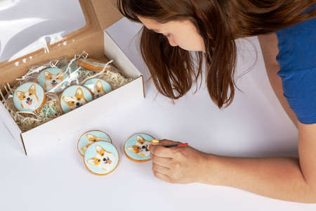 Young woman paints with brush handmade gingerbreads with welsh corgi dog portraits, cardboard box is near. Beautiful cookies decorated by colorful frosting. Hobby, birthday gift. White background.の写真素材