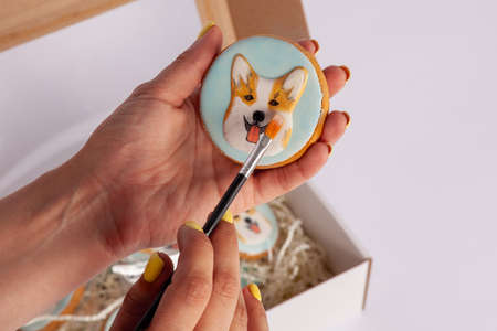 Human hands painting with brush handmade gingerbreads with welsh corgi dog portraits, cardboard box...