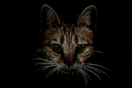 Dark portrait of cat visible like mask on black background, in digital style. Green eyes and...