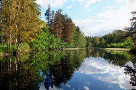 Beautiful colorful summer or autumn natural landscape with a lake surrounded by foliage of trees...