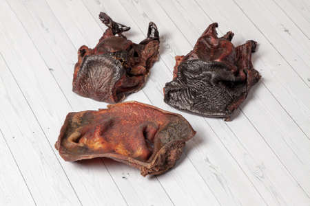 Some kind of dehydrated beef noses. Homemade meat treats for dogs, natural dry chew pet jerky. Wooden white background, copy space.の写真素材