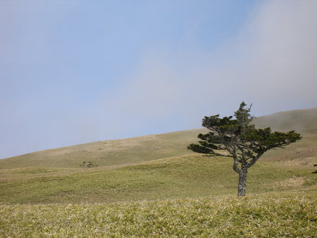 wild nature, the beauty of the far east, the northの写真素材