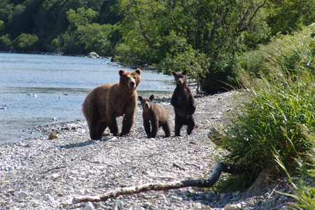 wild nature, the beauty of the far east, the north