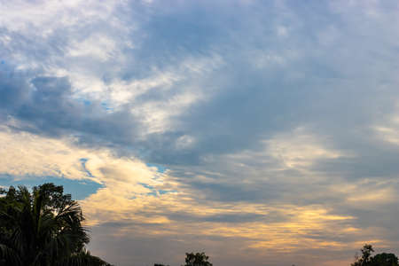 Early evening blue sky above the treesの写真素材
