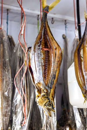 Hanged dried sea fish on a shop in the marketの写真素材
